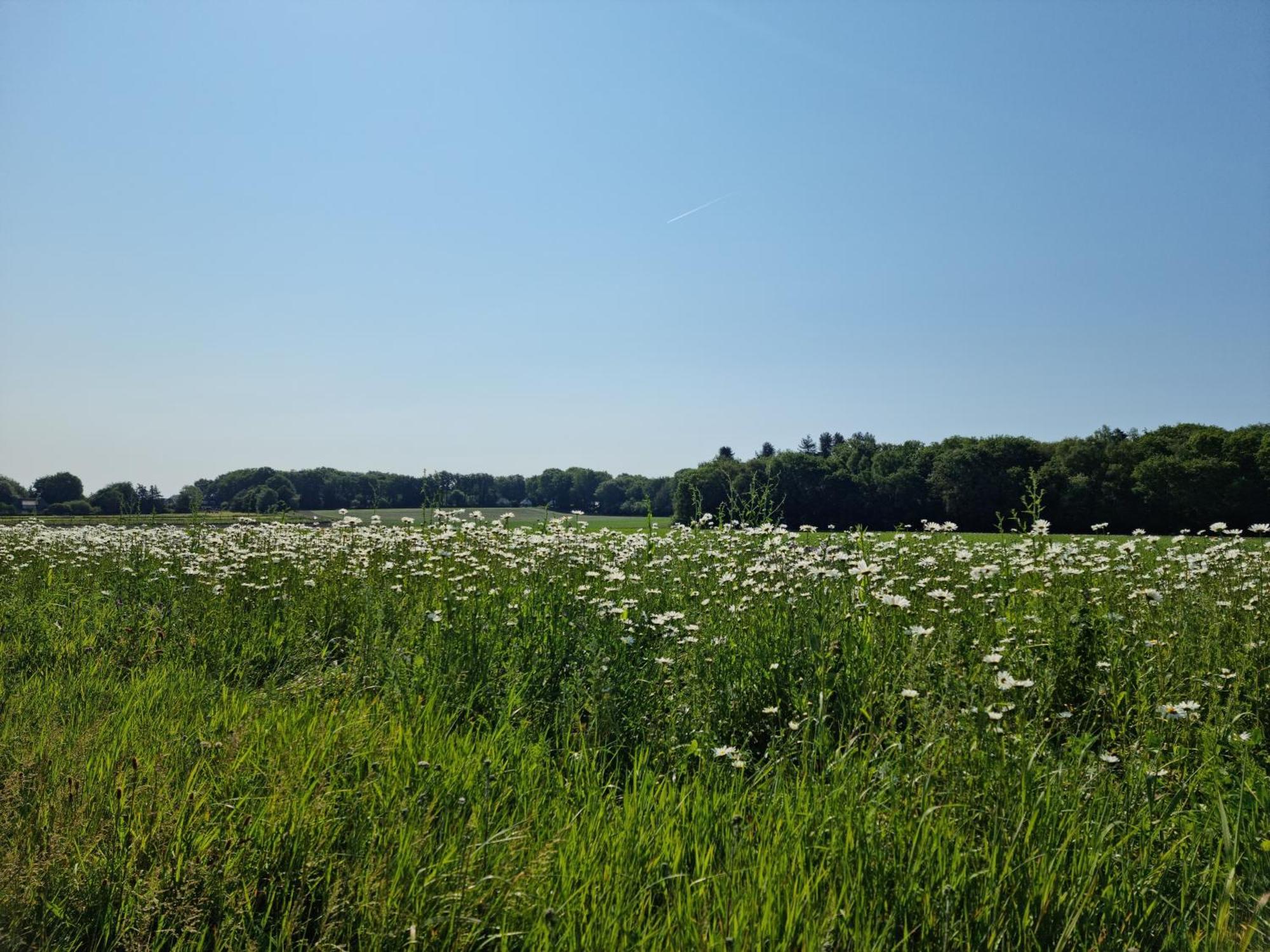 Logeren Bij Sabine En Jw Beekbergen Exterior foto